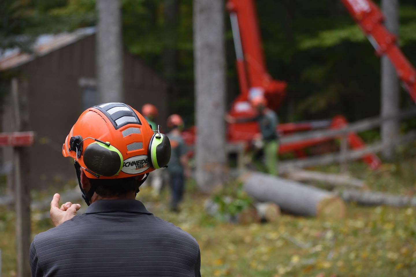 Crew leader in a Schneider Tree Care helmet directing a removal with a spider lift