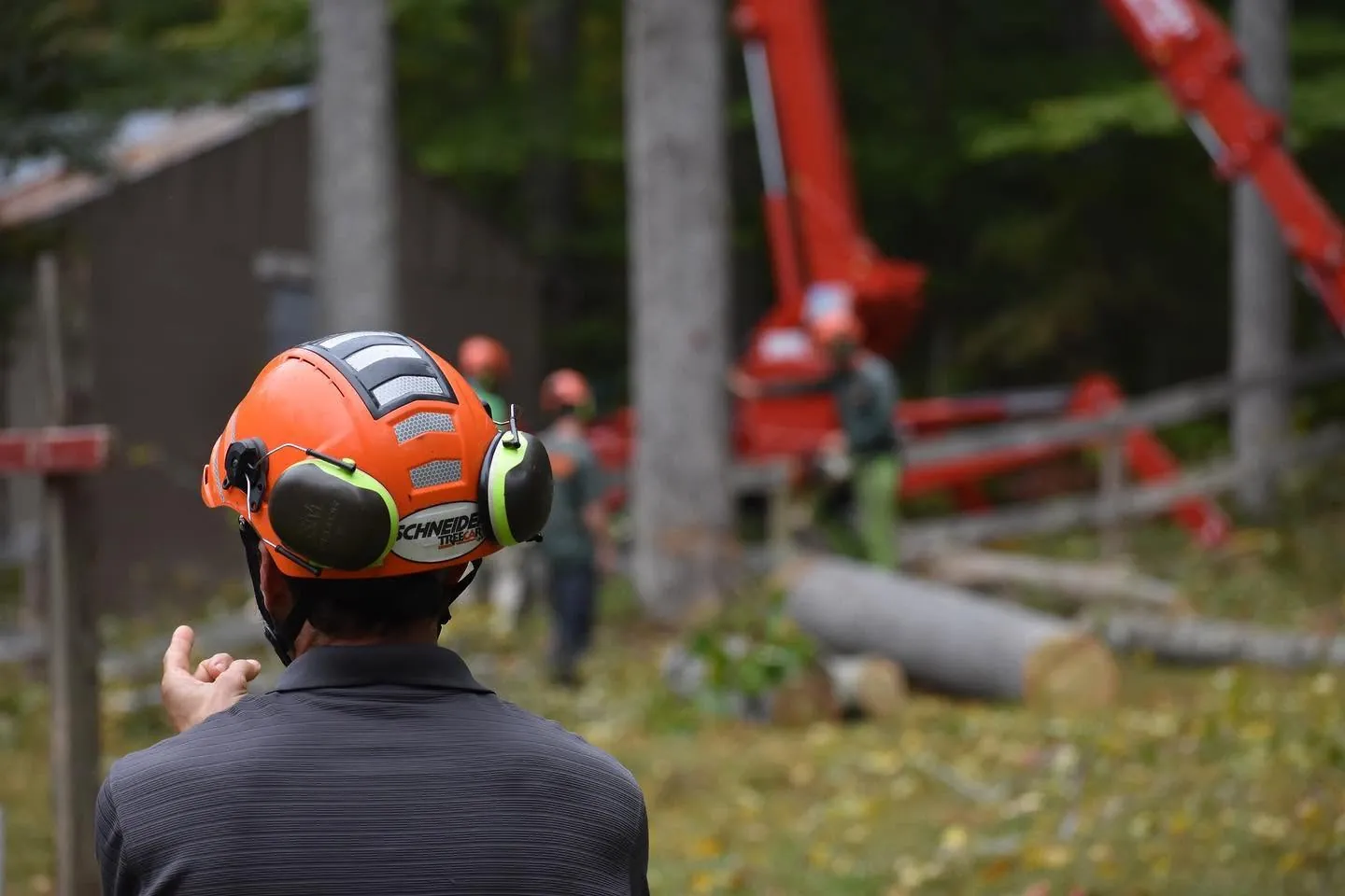 Crew leader in a Schneider Tree Care helmet directing a removal