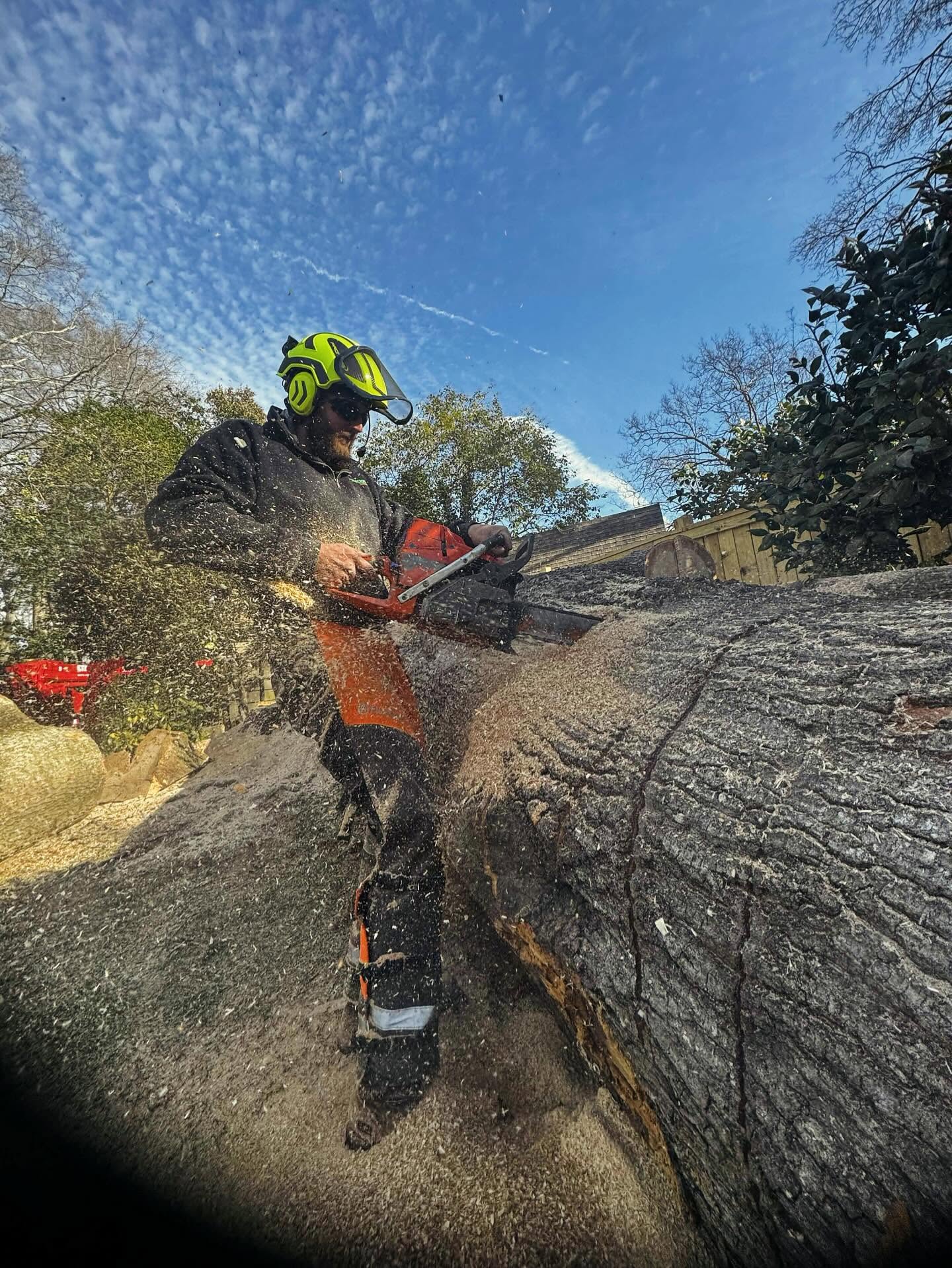 Arborist in full PPE cutting a large trunk with a chainsaw